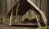 Wilderness Shelters 101: Understanding Different Types