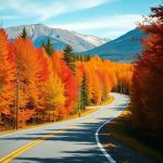 Fall Foliage Scenic Drives Throughout the U.S.