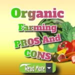 Organic Farming: Understanding Its Pros and Cons