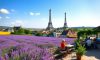 Travel to France: Insights on Seasonal Weather Trends