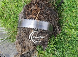 Vac Trucks Clear Blocked Drains from Tree Roots Efficiently