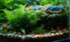 Aquascaping Basics: Essential Guide for Beginners