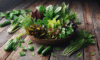 Fresh Summer Salad: A Guide to Vibrant Ingredients