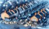 House Clearance Costs in the UK: Essential Tips for Negotiation