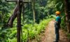 Canopy Tours: Zip Line Adventures in the Belize Rainforest
