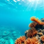 Top Snorkeling Spots and Marine Life at Belize Barrier Reef