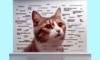 Cat Meme Guide: How to Make Your Feline Go Viral